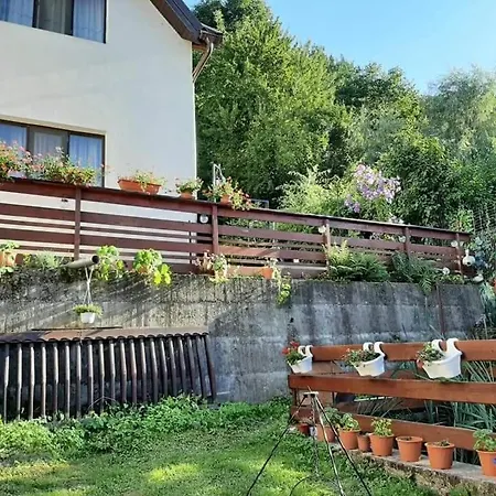 Pensiunea Magura Ocnei