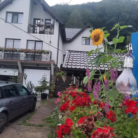 Pensiunea Magura Ocnei *