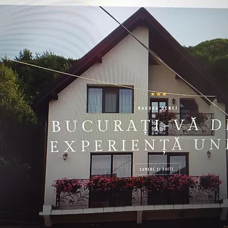 Pensjonat Pensiunea Magura Ocnei *