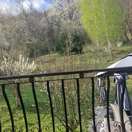 Pensiunea Magura Ocnei *