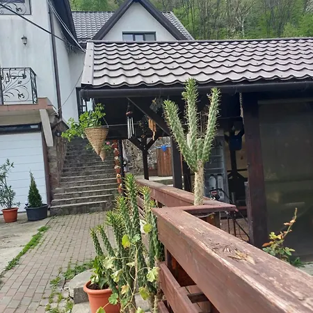 Pensiunea Magura Ocnei Pensjonat *